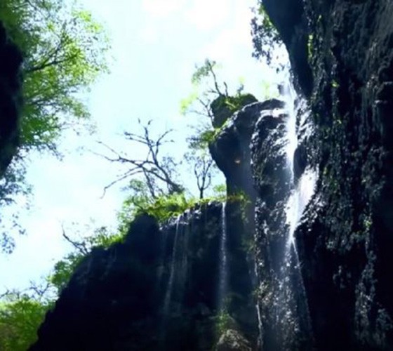 青山綠水，白龍江畔江畔息白鷺，兩岸綠橄欖入眼的都是純樸自然枝上花開(kāi)，春來(lái)水暖魚(yú)蝦戲水，鳥(niǎo)語(yǔ)花香心中充滿(mǎn)著舒暢之感祥宇生態(tài)產(chǎn)業(yè)園，位于隴南市武..